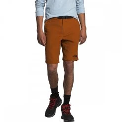 The North Face Paramount Cargo Short 36 The North Face Paramount Cargo Short -The North Face Online 12
