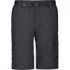 The North Face Paramount Cargo Short