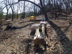 The North Face Tadpole 2 -The North Face Online Nordhouse 3 1 15 002