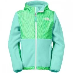 The North Face Denali Hoodie -The North Face Online RECMTBL