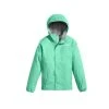 The North Face Girls' Reflective Jacket