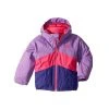 The North Face Toddler Girls' Brianna Insulated Jacket