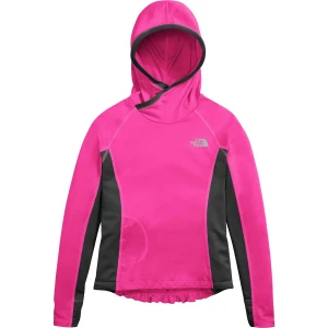 The North Face Reactor Hoodie 11 The North Face Reactor Hoodie - Image 11