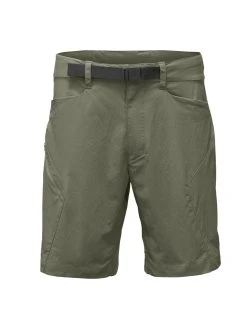 The North Face Men's Straight Paramount 3.0 Short